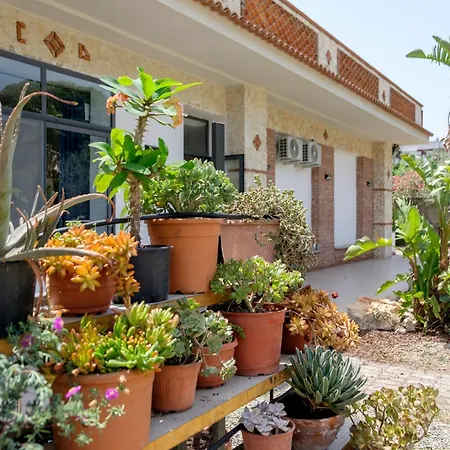 Bed & Breakfast Il Vivaio