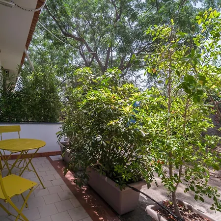 Bed & Breakfast Il Vivaio *